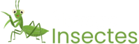 elevage insecte logo white